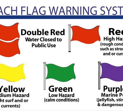 Know the flags before you swim—Green: calm, Yellow: caution, Red: dangerous surf, Double Red: water closed, Purple: marine pests.
