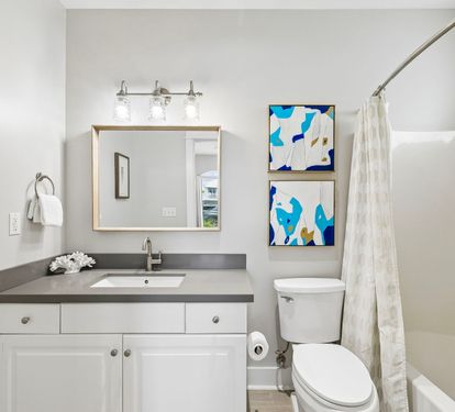 King Guest En-Suite - Single Vanity + Shower/Tub Combo