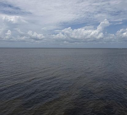 Photo #82