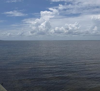 Photo #87
