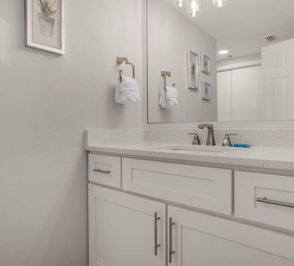Guest Bathroom 1