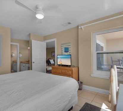 Primary Bedroom with TV