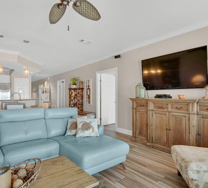 Living room with large TV