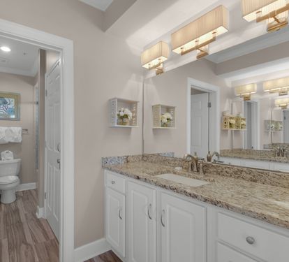 Primary Bathroom Vanity