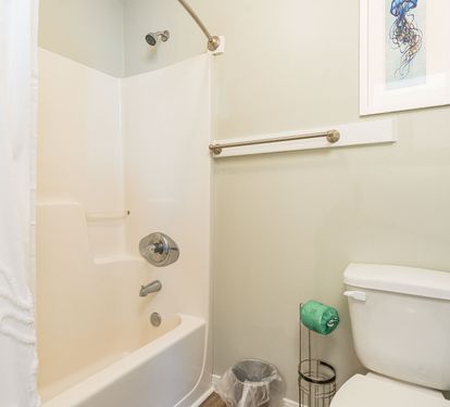 Wanderlust Primary Bathroom with Tub Shower Combo