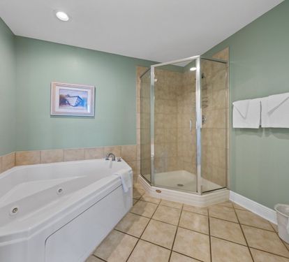 San Carlos 1001 Primary Bathroom with Jetted Tub and Separate Shower