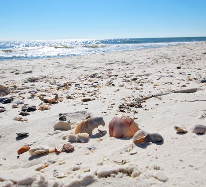 2 - Beach Access (3)