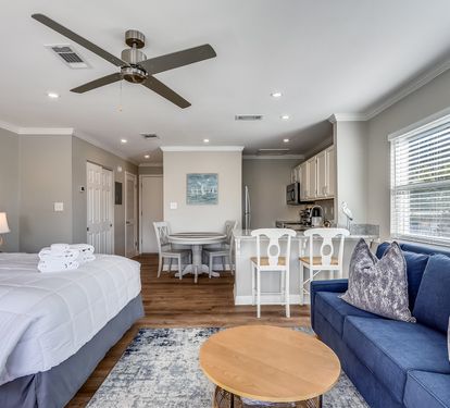 Living room/Sleeping Area