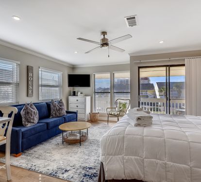 Living room/Sleeping Area