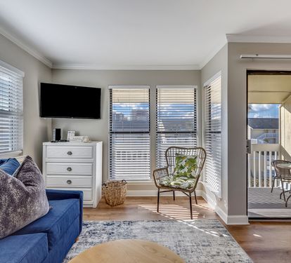 Living room/Sleeping Area