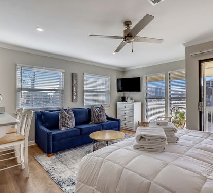 Living room/Sleeping Area