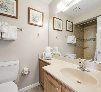 23 Phoenix East 1201 Bathroom 2