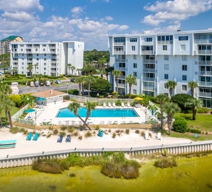 Dolphin Point-3