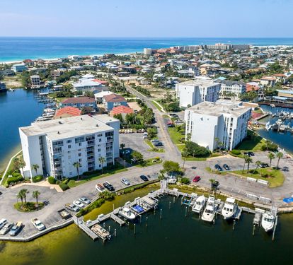 Dolphin Point-6