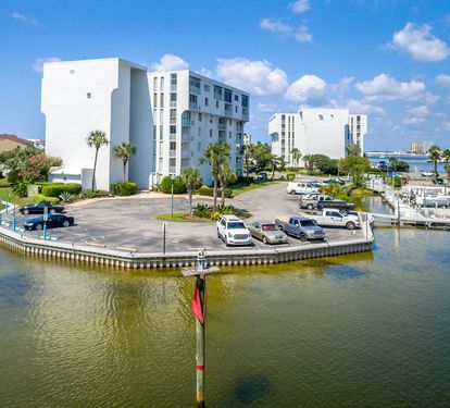 Dolphin Point-7