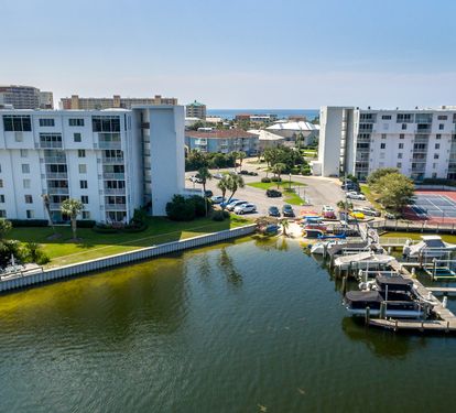 Dolphin Point-9