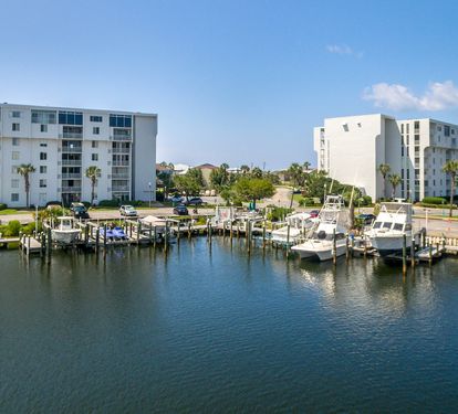 Dolphin Point-8