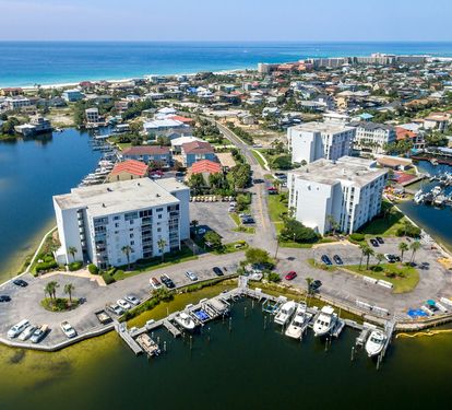 Dolphin Point-13