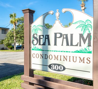 Sea Palm WEB Size-9