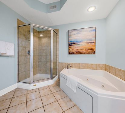San Carlos 409 Primary Bathroom with Jetted Tub and Separate Step-in Shower
