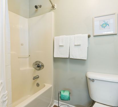 Endless Summer Primary Bathroom with Tub Shower Combo