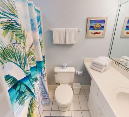 Guest Bathroom 2
