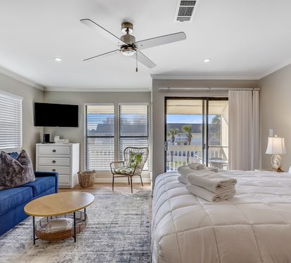 Living room/Sleeping Area