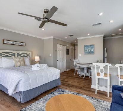 Living room/Sleeping Area