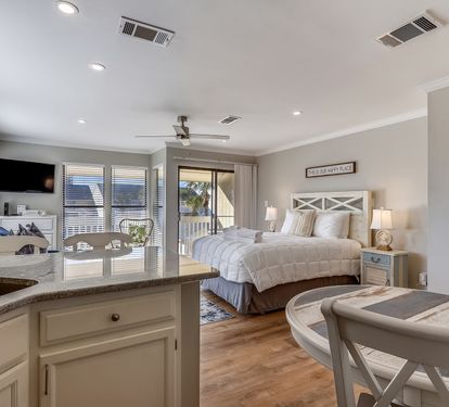 Living room/Sleeping Area