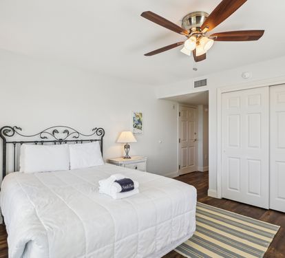 Living room/Bedroom