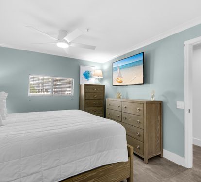 Primary Bedroom with TV