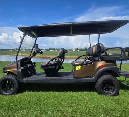 6-Seat Golf Cart