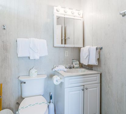 Klitzke Primary Bathroom with Tub Shower Combo