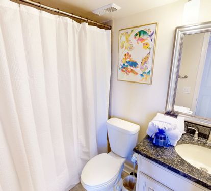Guest Bathroom 1