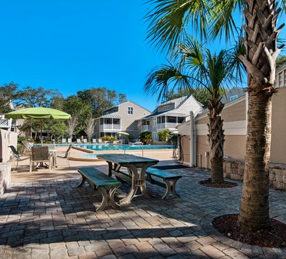 Hidden Dunes Cottage Pool with Palm Trees