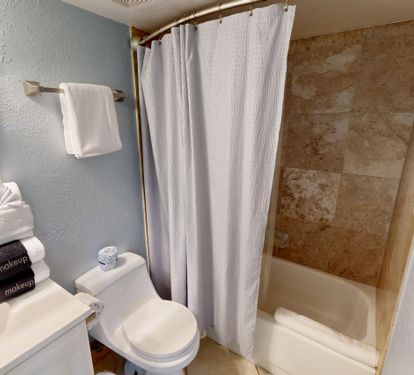 Guest Bathroom 2