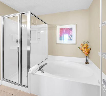Master Bathroom 1 Part 2
