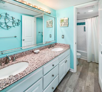 Master vanity - double sinks