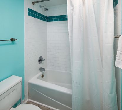Master tub and shower