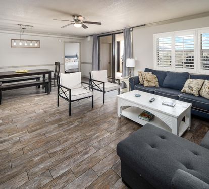Living / Dining Area