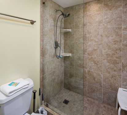 Master shower with seating