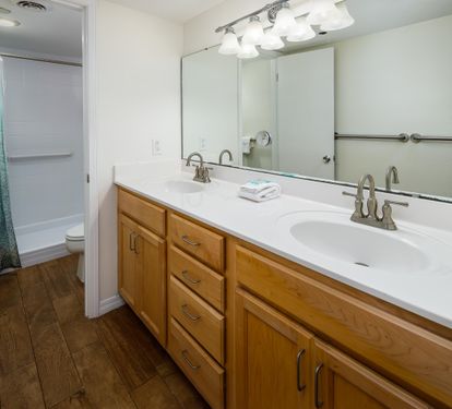 Master vanity - double sinks