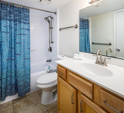 guest bath tub/shower with safety bars