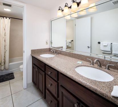 Master vanity - double sinks