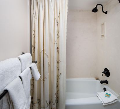 Master shower/tub