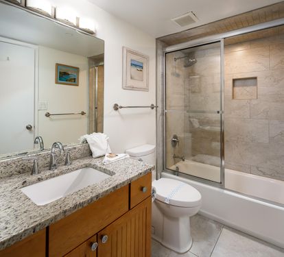 Guest bath tub and shower