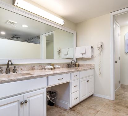 Master vanity - double sinks