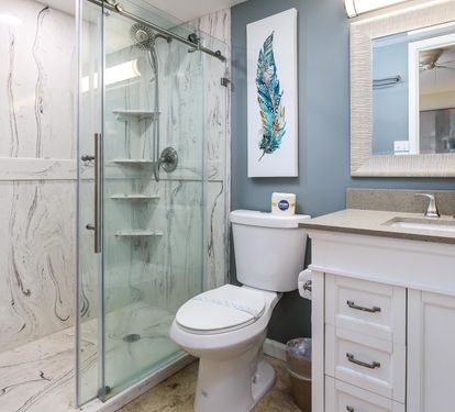 Guest bath - walk in shower and safety bars