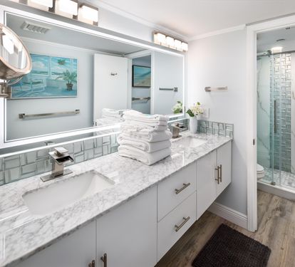 Master vanity - double sinks