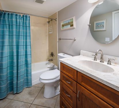 Guest tub/shower